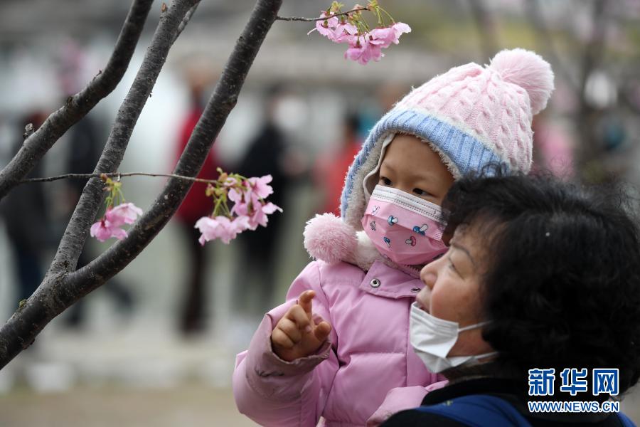 여행객들이 위위안탄 공원의 벚꽃 나무 아래에서 벚꽃을 감상하고 있다. [3월 18일 촬영/사진 출처: 신화망]
