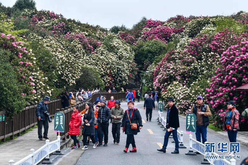 관광객들이 바이리두쥐안 푸디 관광지에서 꽃구경하고 있다. [3월 21일 촬영/사진 출처: 신화망]