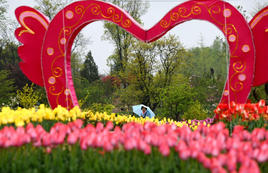 여행객이 시안식물원에서 꽃을 감상하고 있다. [사진 출처: 신화사]