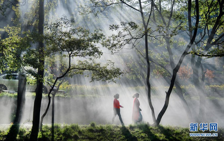 관광객들이 아침 안개에 덮인 뤄난현 청관(城關)가도 자이커우(窄口)촌 망링(蟒嶺) 녹색길을 찾았다. [2020년 4월 12일 촬영/사진 출처: 신화망]