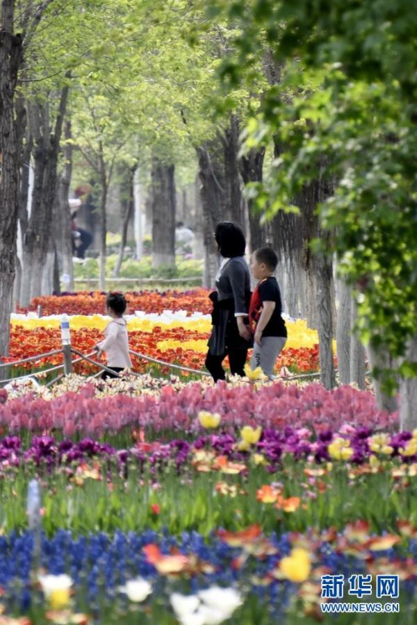 시민들이 푸른 항만 단지에서 꽃구경하고 있다. [사진 출처: 신화망]