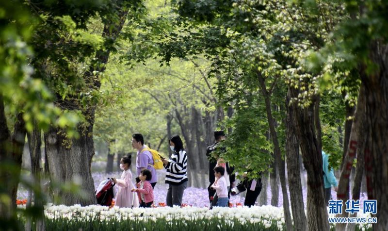 시민들이 푸른 항만 단지에서 꽃구경하고 있다. [사진 출처: 신화망]
