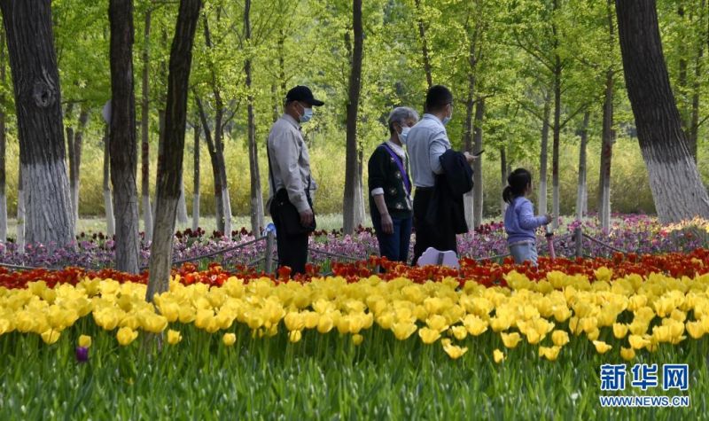 시민들이 푸른 항만 단지에서 꽃구경하고 있다. [사진 출처: 신화망]