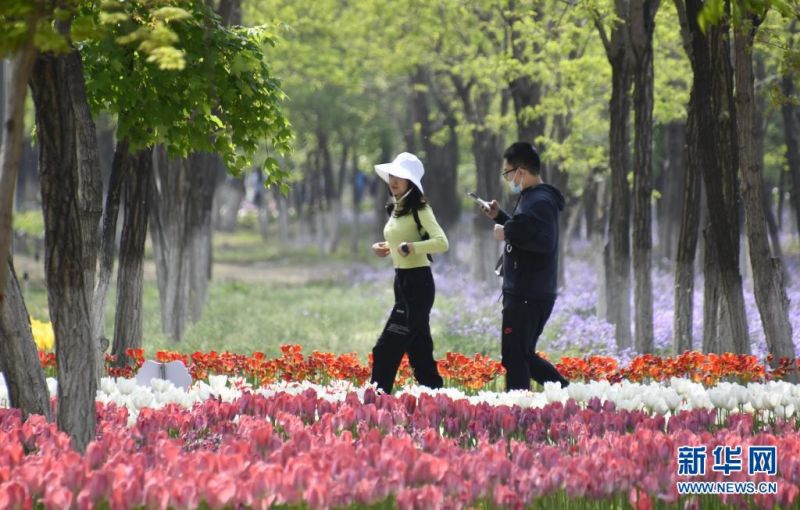 시민들이 푸른 항만 단지에서 꽃구경하고 있다. [사진 출처: 신화망]