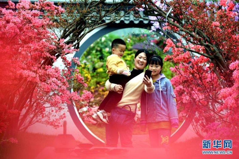 [포토] 산둥 르자오, 향기롭고 아름다운 진달래 축제