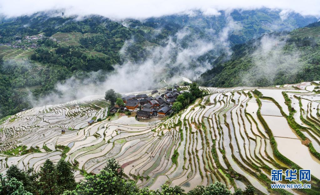 [포토] 구이저우성 자방 마을, 계단식 논의 그림 같은 풍경