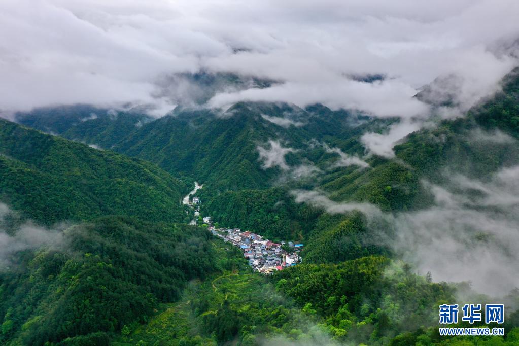 우이산국가공원 퉁무(桐木)촌 인근 산림에 운무가 피어올랐다. [5월 17일 드론 촬영/사진 출처: 신화망]