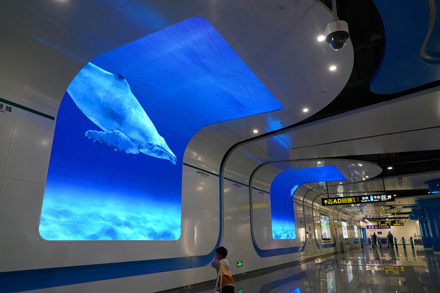 中 정저우，지하철역 대형 스크린에 등장한 고래 …핫플레이스 등극