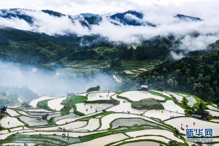 [포토] 구이저우 리핑, ‘천우동경’ 농경 문화 행사 선보여