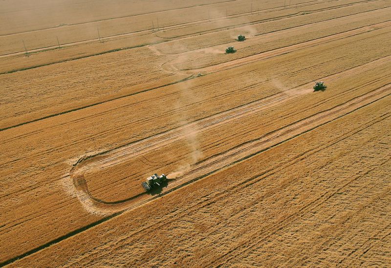 황판구 농민들이 밀밭에서 수확기로 밀을 수확한다. [사진 출처: 신화망]