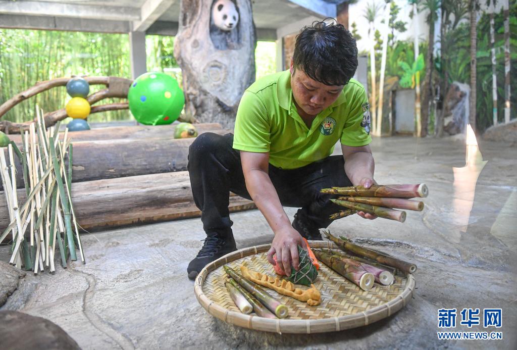 6월 14일, 하이커우에 위치한 하이난 열대야생동물원에서 직원이 자이언트 판다를 위해 음식을 놓고 있다. [사진 출처: 신화망] 