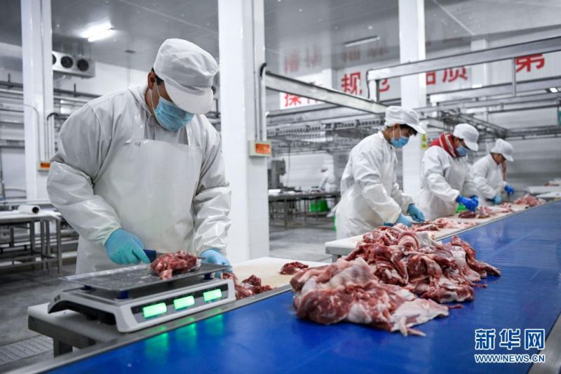 닝샤옌츠탄양그룹의 고표준 도살가공 공장에서 직원들이 탄양 고기를 해체하고 있다. [2020년 11월 2일 촬영/사진 출처: 신화망]