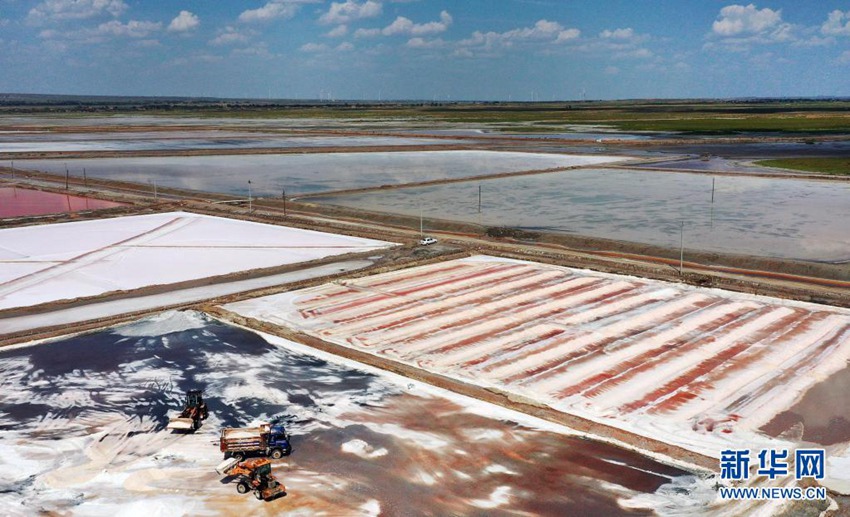 8월 7일, 소금 공장 직원이 염전에서 소금을 담아 운반하고 있다. [8월 7일 드론 촬영/사진 출처: 신화망]