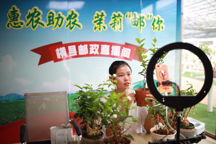 헝저우시 탄원(榃汶)촌 재스민 분재와 야채육묘 시범단지에서 귀농 청년이 라이브커머스 스튜디오에서 헝저우 재스민을 홍보하고 있다.