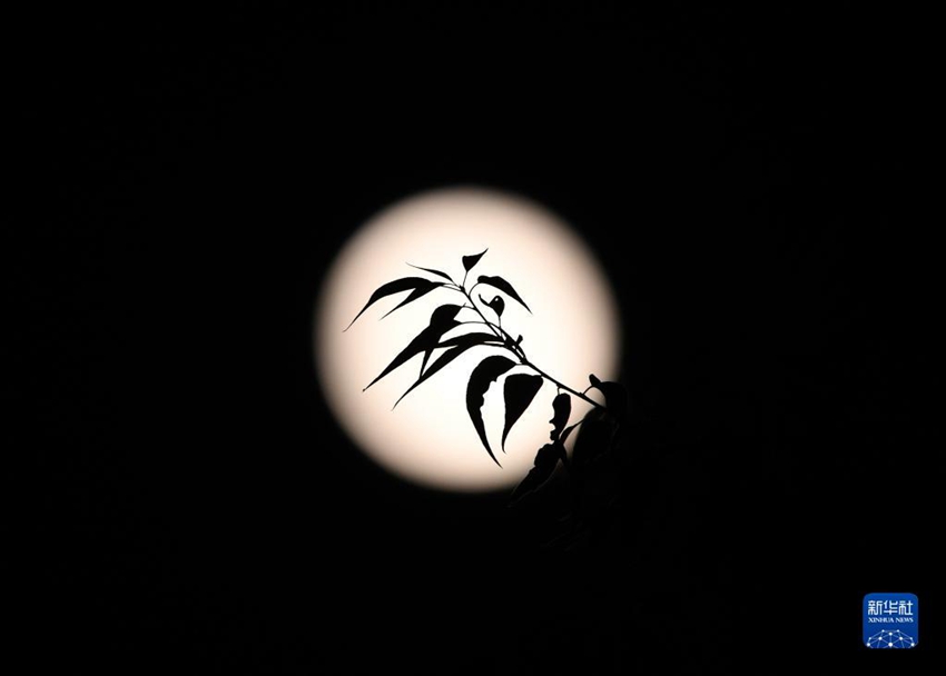 베이징 다싱(大興)에서 촬영한 보름달 [사진 출처: 신화사]