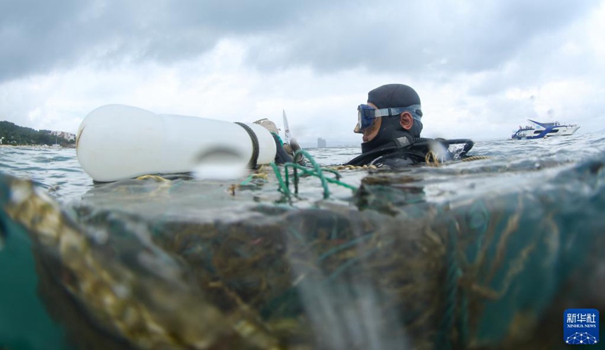 작업자가 바다 위의 떠 있는 쓰레기를 치우고 있다. [9월 14일 촬영/사진 출처: 신화사]