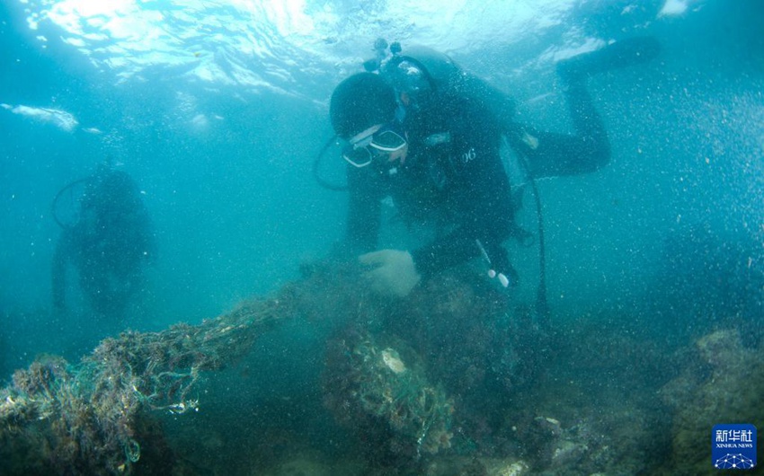 작업자들이 해저 산호 위에 감긴 그물을 정리한다. [9월 14일 촬영/사진 출처: 신화사]
