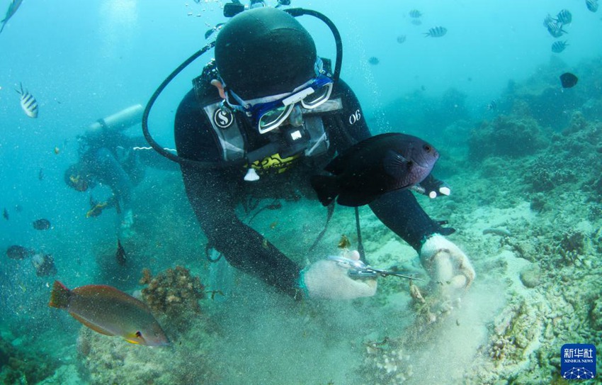 하이난 싼야 우즈저우섬 해역에서 작업자들이 해저 쓰레기를 수거하고 있다. [9월 14일 촬영/사진 출처: 신화사]