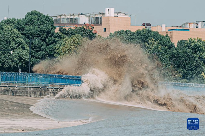 첸탕강의 물결이 제방에 부딪혀 큰 파도를 만들어 낸다. [9월 23일 촬영/사진 출처: 신화사] 