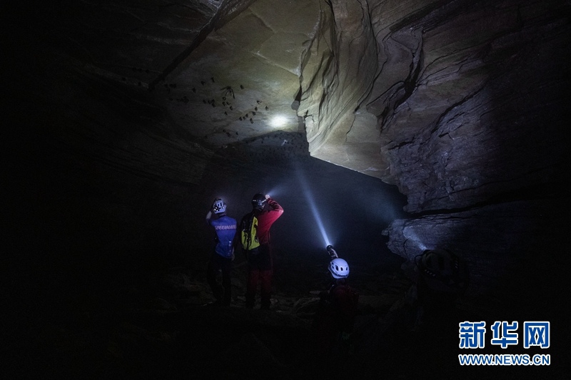 쓰촨 동굴 탐험대원들이 동굴 생물을 관찰한다. [사진 출처: 신화망]