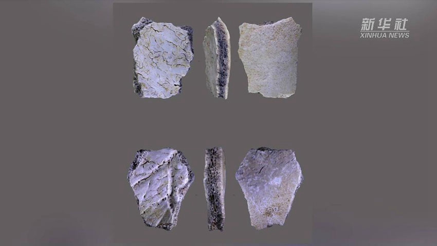 中 허난서 3만 2천 년前 사람 두개골 화석 발견