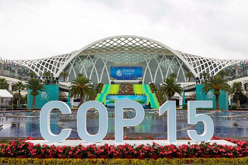 COP15 회의장 [사진 출처: 인민망]