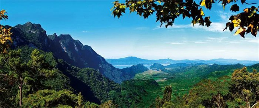하이난열대우림 국가공원 [사진 제공: 국가임업초원국]