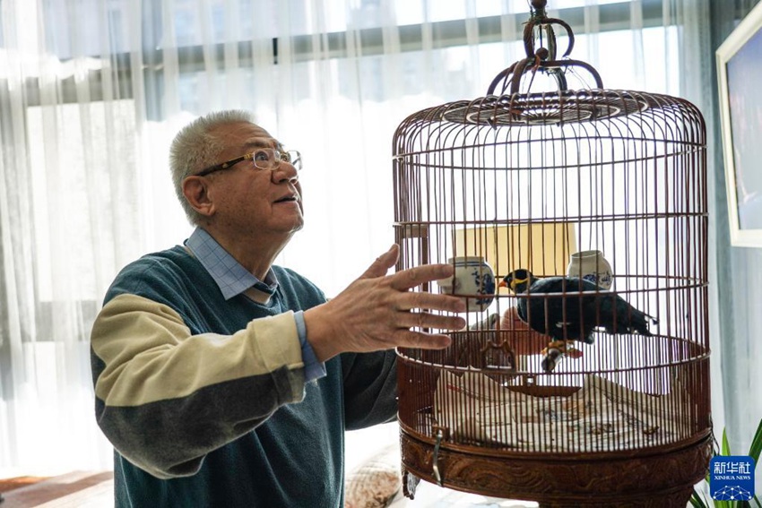 베이징 자택에서 뤼웨이예가 자신이 기르는 새를 실버타운으로 데려갈 준비를 하고 있다. [10월 11일 촬영/사진 출처: 신화사]