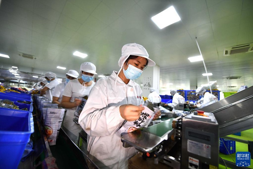 11월 1일, 광시의 한 뤄쓰펀 생산 기업의 작업자들이 작업 현장에서 바쁘게 일한다. [사진 출처: 신화사]