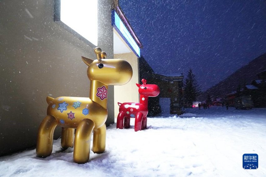 눈 내리는 밤 설향의 마스코트 ‘복 노루’ [11월 18일 촬영/사진 출처: 신화사]