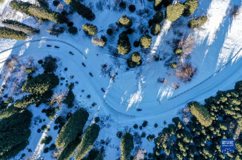 신장 이리 나라티 관광지에서 관광객들이 스노모빌을 타고 숲속을 다니고 있다. [12월 2일 촬영/사진 출처: 신화사]