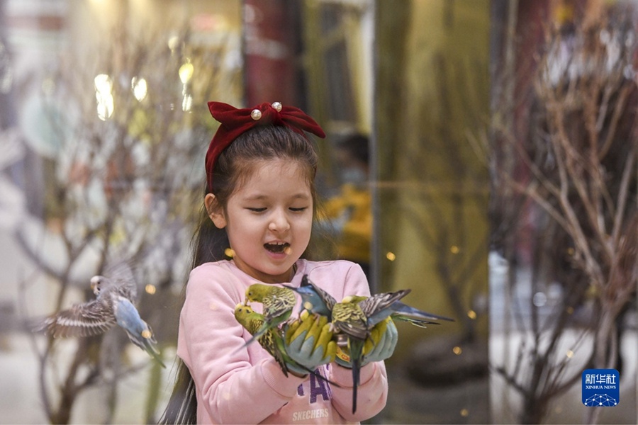 12월 21일 밤 7시 20분, 6살 아이루이페이(艾睿菲)는 우루무치 CCMALL 시대광장 상업종합건물 내 한 놀이터에서 놀고 있다. 그녀는 이 곳에서 작은 동물들과 함께 노는 것을 좋아한다. [사진 출처: 신화사]