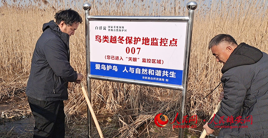 안신현 자연자원국 직원들이 경고판을 설치하고 있다. [사진 출처: 인민망] 