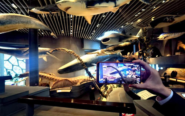 관람객이 상하이자연박물관에서 공중에 걸려 있는 공룡뼈 표본을 스마트폰으로 스캔하자 마치 살아있는 듯한 공룡이 스크린 화면에 등장했다. [사진 출처: 신화사]