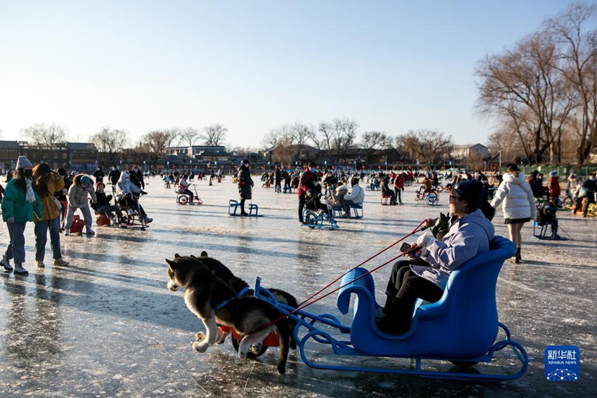 스차하이 스케이트장에서 시민이 전동 개썰매를 타고 있다. [1월 15일 촬영/사진 출처: 신화사]