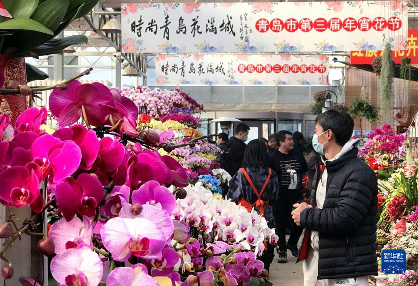 칭다오시 라오산구 화훼 시장에서 손님이 꽃을 고르고 있다. [1월 16일 촬영/사진 출처: 신화사]