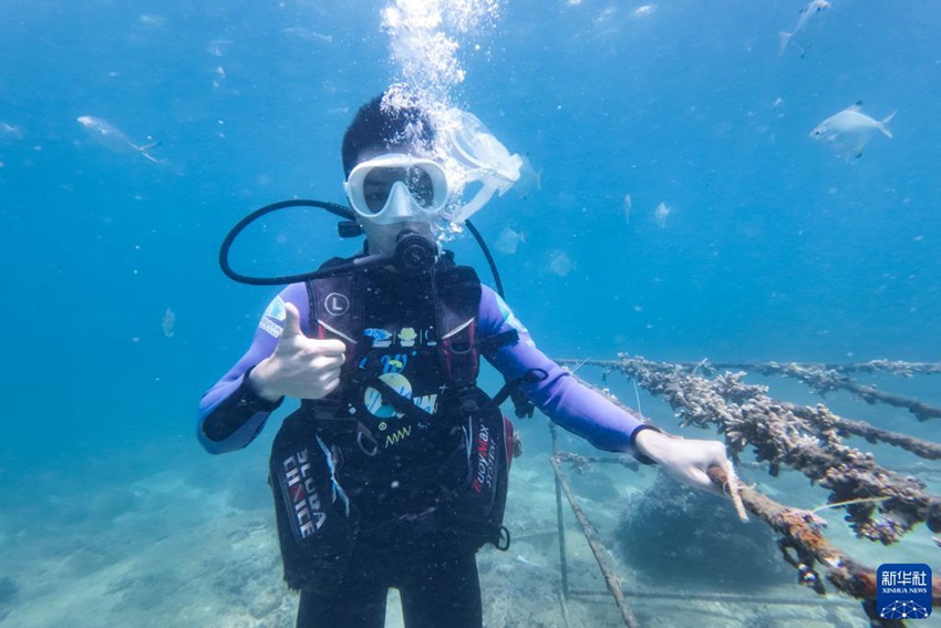 [포토] 하이난, 산호 심기 체험으로 즐기는 푸른 생태계 여행