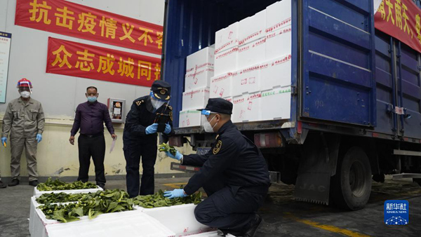 2월 18일, 광저우 판위(番禺) 해관(세관)이 홍콩으로 수송할 채소를 점검하고 있다. [사진 출처: 신화사]