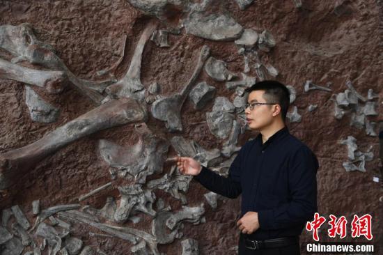 中, 아시아에서 가장 오래된 스테고사우루스 화석 발견