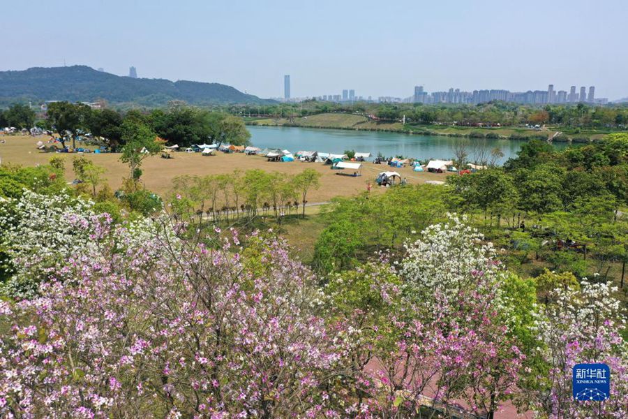 4월 5일, 광시 난닝 강변으로 봄을 즐기러 나온 시민들 [드론 촬영/사진 출처: 신화사]