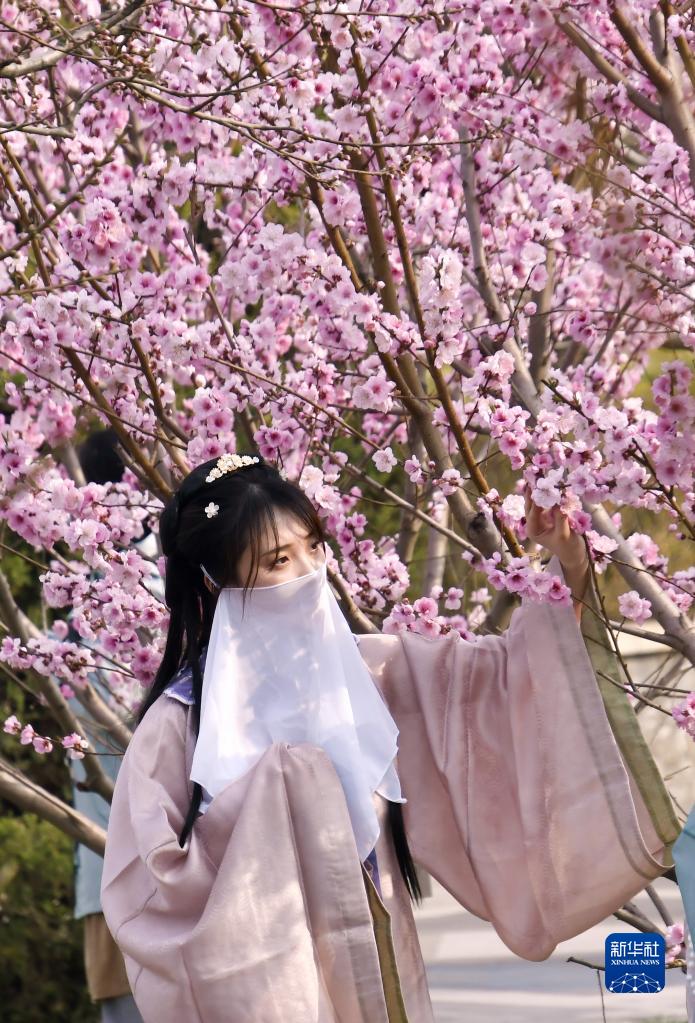 4월 4일, 한푸(漢服: 중국 한나라 전통의복)를 입은 시민이 꽃과 함께 사진을 찍는다. [사진 출처: 신화사]