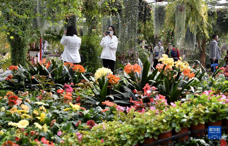 4월 4일, 베이징 펑타이(豐臺)구 한 공원 꽃구경을 나온 시민들 [사진 출처: 신화사]