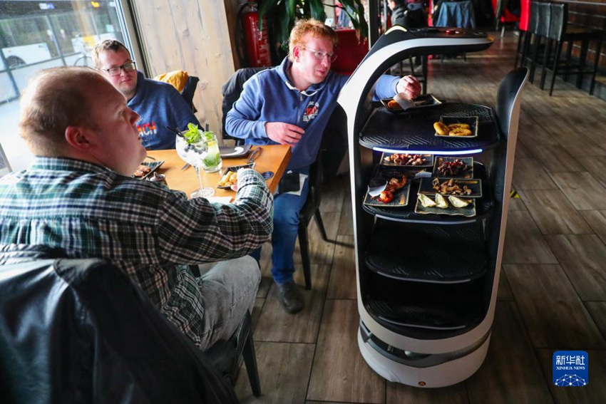 벨기에 식당에서 서빙하는 중국 로봇