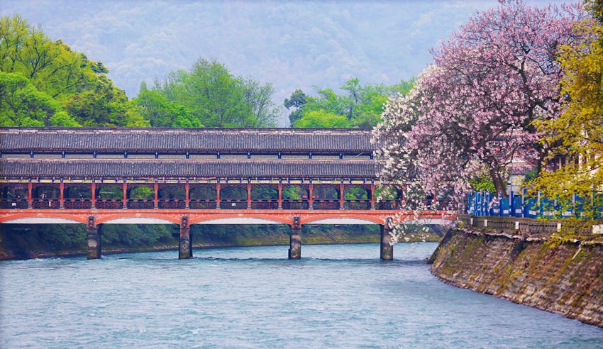 [포토] 쓰촨 두장옌, 천년 역사 수리 공사의 아름다운 봄