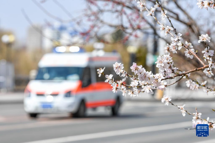 4월 14일, 구급차 한 대가 지린시 쑹장(松江)동로를 달린다. 길가에는 복숭아 꽃이 만개했다. [사진 출처:신화사]