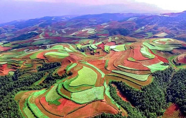 윈난 둥촨, 청과맥 수확철 맞아 아름다운 풍경화 연출