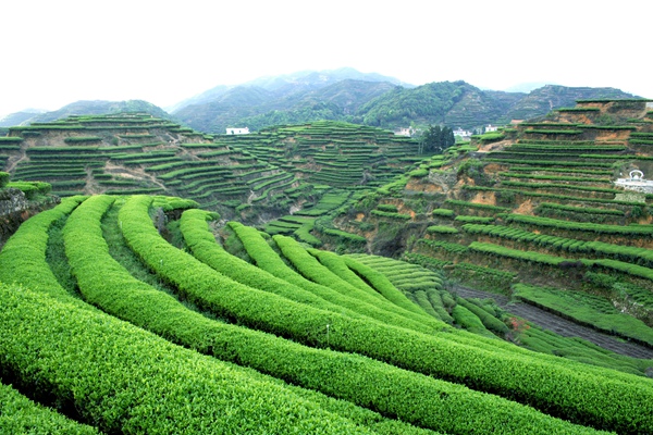 중국 세계농업문화유산 18곳, 세계 최다 기록