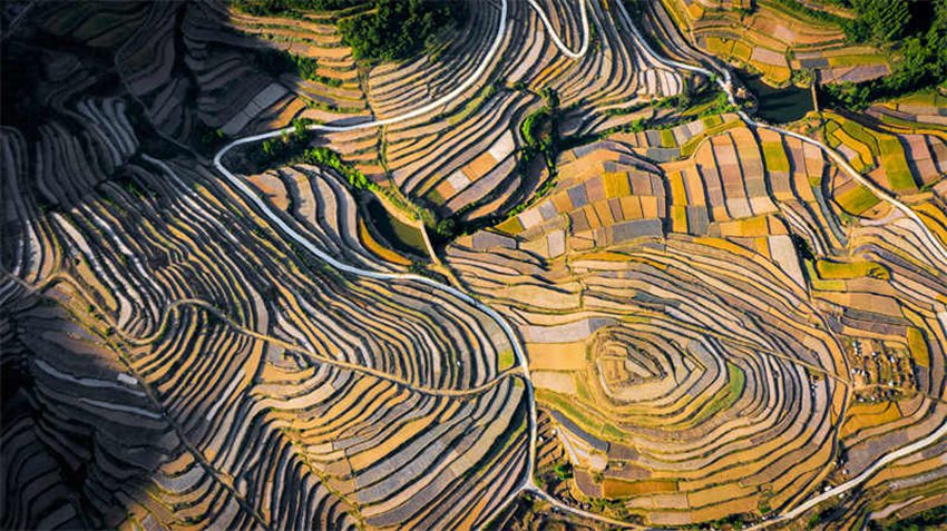 [포토] 산둥 르자오, 계단식 논 위로 펼쳐진 ‘팔레트’ 풍경