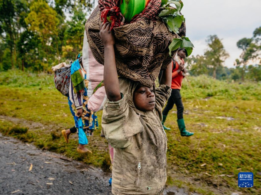 5월 25일, 콩고 북키부주 고마시 시민들이 전란으로 삶의 터전을 잃어버렸다. [사진 출처: 신화사]