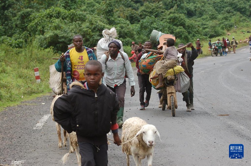 5월 25일, 콩고 북키부주 고마시 시민들이 전란으로 삶의 터전을 잃어버렸다. [사진 출처: 신화사]